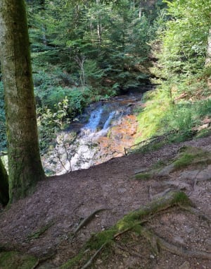 Balade à la Cascade de Faymont - Le Val-d'Ajol - 35