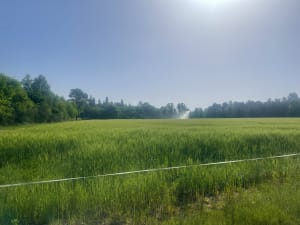 Boucle autour du camping Les Alicourts - Pierrefitte-sur-Sauldre - 11