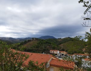 Sentier du littoral à Banyuls-sur-Mer - Banyuls-sur-Mer - 9