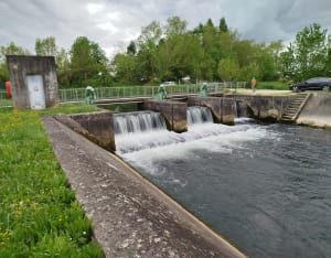 Coulon et le marais - Coulon - 7