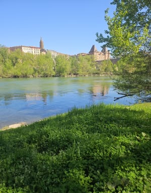Rondje in Montauban, groene route langs de Tarn - Montauban - 4