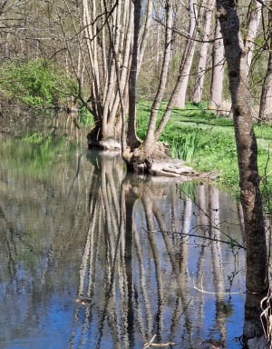 Détours au bord du canal St-Eutrope - Courcelles - 5