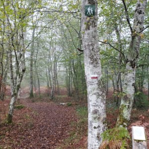 Sentier des sources - Montereau - 9