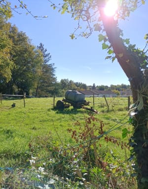 L'île de la Merlerie jusqu'au moulin du Furet - Rives de l'Yon - 9