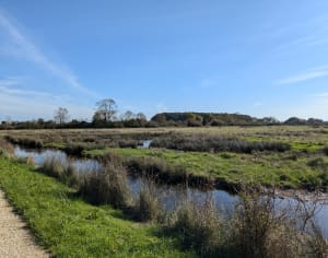 Les marais du Gua - Le Gua - 4