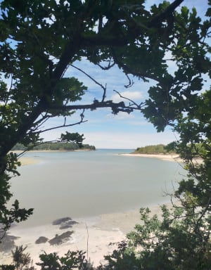 Tregon au château du Guildo - marina - 11