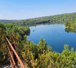 Balade au départ du lac d'Artignosc - Artignosc-sur-Verdon - 7