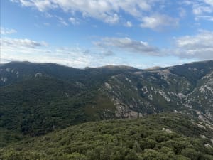 La Massane - Argelès sur Mer - 28