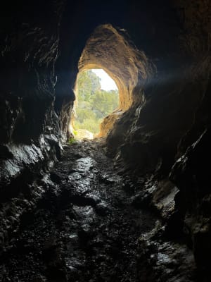 À la découverte des grottes et cuves du Destel - Ollioules - 14