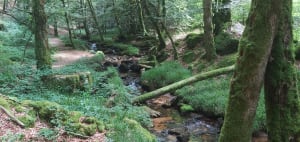 Cascade de la Tine - Pradines - 12