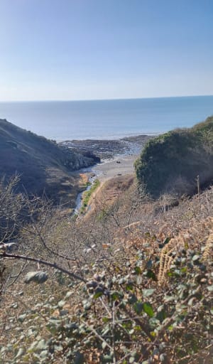 Promenade dans la vallée du Lude - Carolles - 37