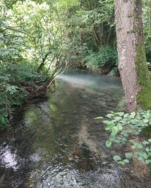 Livet sur Authou - Moulin et lavoirs - Livet-sur-Authou - 16