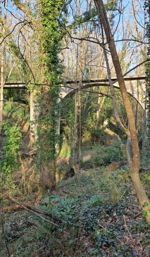 Promenade dans la vallée du Lude - Carolles - 39