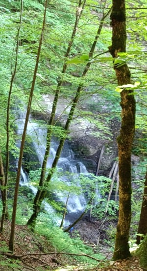 Rando sur le plateau de Saint-Hilaire - Plateau-des-Petites-Roches - 5