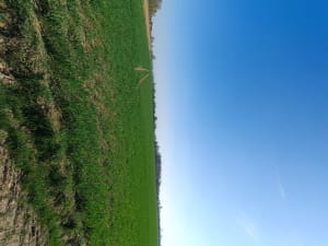 Visite du village de Sailly-sur-la-Lys - Odile - 4