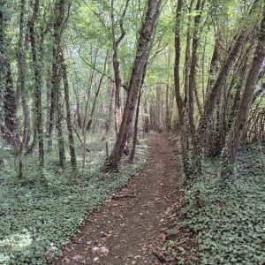 Profiter de la forêt à Argentan - Claire - 5