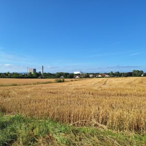 Profiter de la forêt à Argentan - Claire - 6