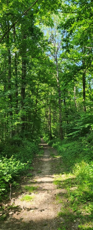 Boucle à Saint-Crépin-Ibouvillers - Saint-Crépin-Ibouvillers - 11