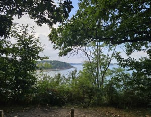 Sous les arbres du Minihic  entre forêt et littoral. - Le Minihic-sur-Rance - 16