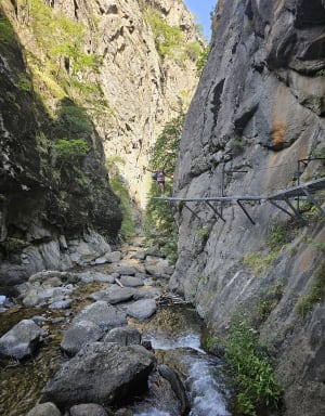 Grote lus van de Gorges de la Carança en zijn toevluchtsoord - Thuès-Entre-Valls - 12
