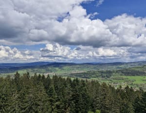 Boucle roche de Boslimpre et Etang du Souche depuis Ban-sur-Meurthe-Clefcy - Ban-sur-Meurthe-Clefcy - 9
