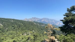 Trou de la Bombe : panorama grandiose sur les Aiguilles de Bavella - Quenza - 69