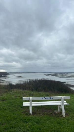 Entre la Plage de Béliard et la Plage de Jospinet - Lamballe-Armor - 9