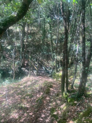 Circuit du saut du loup - Christophe - 11