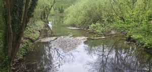 Marais et campagne autour de Palluel - Palluel - 17