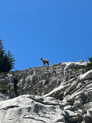 Le Pas de l'Oeille à Villard-de-Lans - Villard-de-Lans - 2
