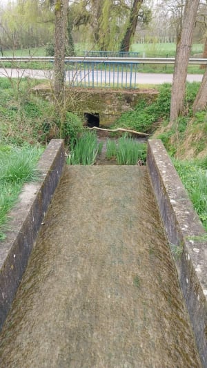 Autour de Varennes - Saint-Martin-la-Pallu - 4