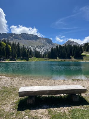 Le Pas de l'Oeille à Villard-de-Lans - Villard-de-Lans - 5