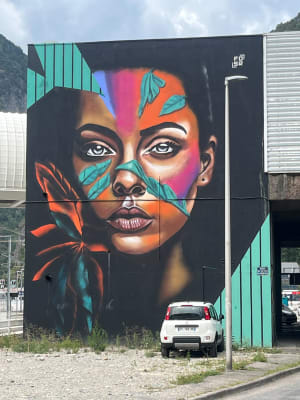 Incontournable, le parcours Street-Art de Moûtiers ! - Moutiers - 47