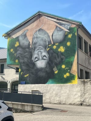 Incontournable, le parcours Street-Art de Moûtiers ! - Moutiers - 49