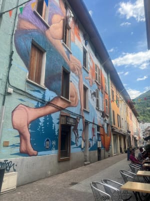 Incontournable, le parcours Street-Art de Moûtiers ! - Moutiers - 50