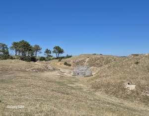 Balade sur la côte à Gouville-sur-Mer - Gouville-sur-Mer - 5