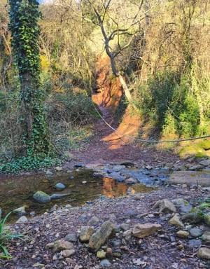 Klim naar Notre-Dame-de-Roubignac en de kasteelruïnes - Octon - 17