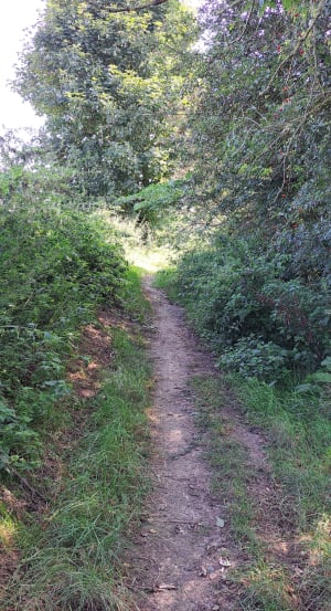 Balade dans les champs à Aulnoy-lez-Valenciennes - Jean phillipe - 6