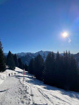 Sneeuwschoenwandeling boven Petit Châtel - Châtel - 2