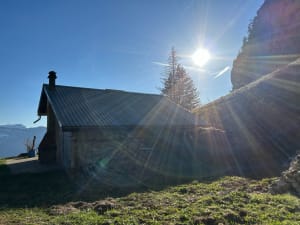 Chemin de La Vuettaz et forêt profonde - Fillière - 6