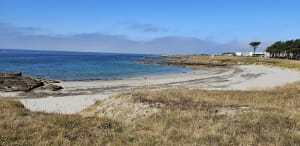 Pointe du Conguel - Quiberon - 16