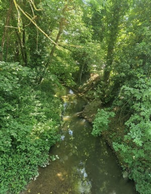 Belle balade à Anneyron - Anneyron - 9