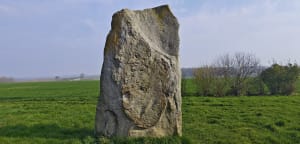 Les Plats Monts - Écourt-Saint-Quentin - 11
