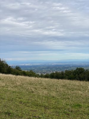 Rando ombragée en boucle autour du barrage de Thurins - Dzaw - 18