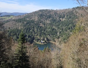 Boucle aux Lac d Alfeld et Lac des Perches - PRISCILLIA - 10