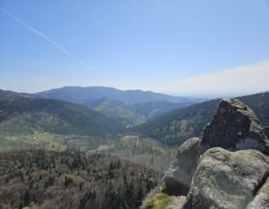 Boucle aux Lac d Alfeld et Lac des Perches - PRISCILLIA - 11