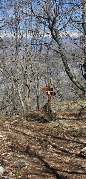 Mont Ours et ses alentours - Castillon - 13