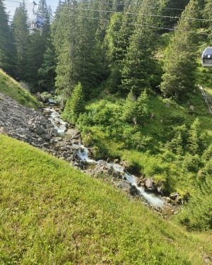 Cascade des Brochaux - Montriond - 12