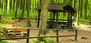 Szczecin - Trasa Rowerowa 20A - Bieszczadzka - Serce Puszczy - Beata - 11