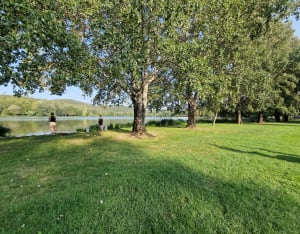 Lac de Grolejac - Groléjac - 11